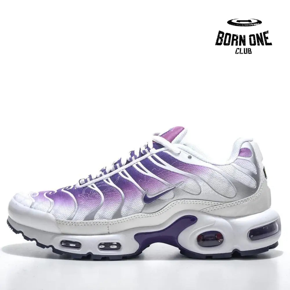 TN Plus Purple Dragon