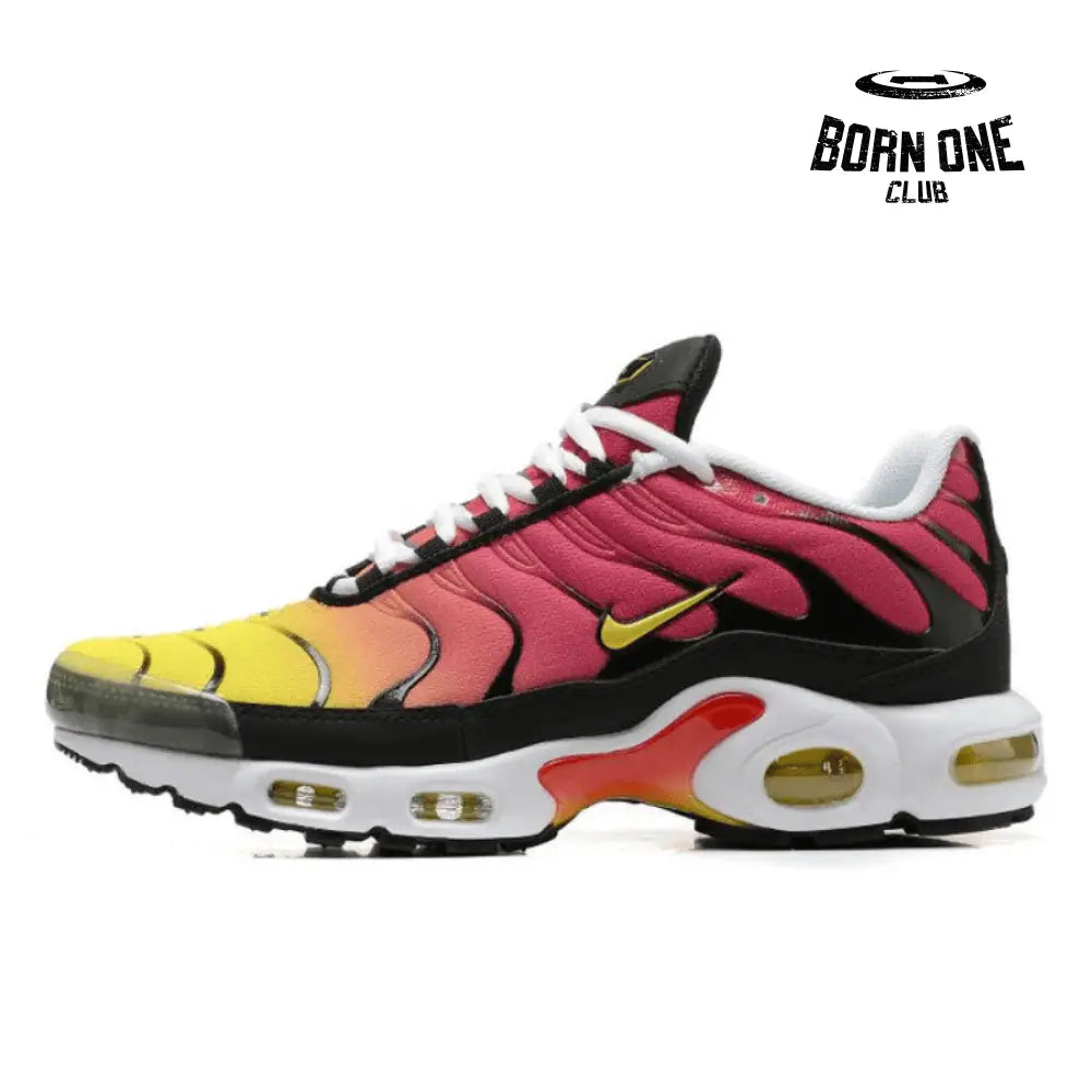 TN Plus Rainbow