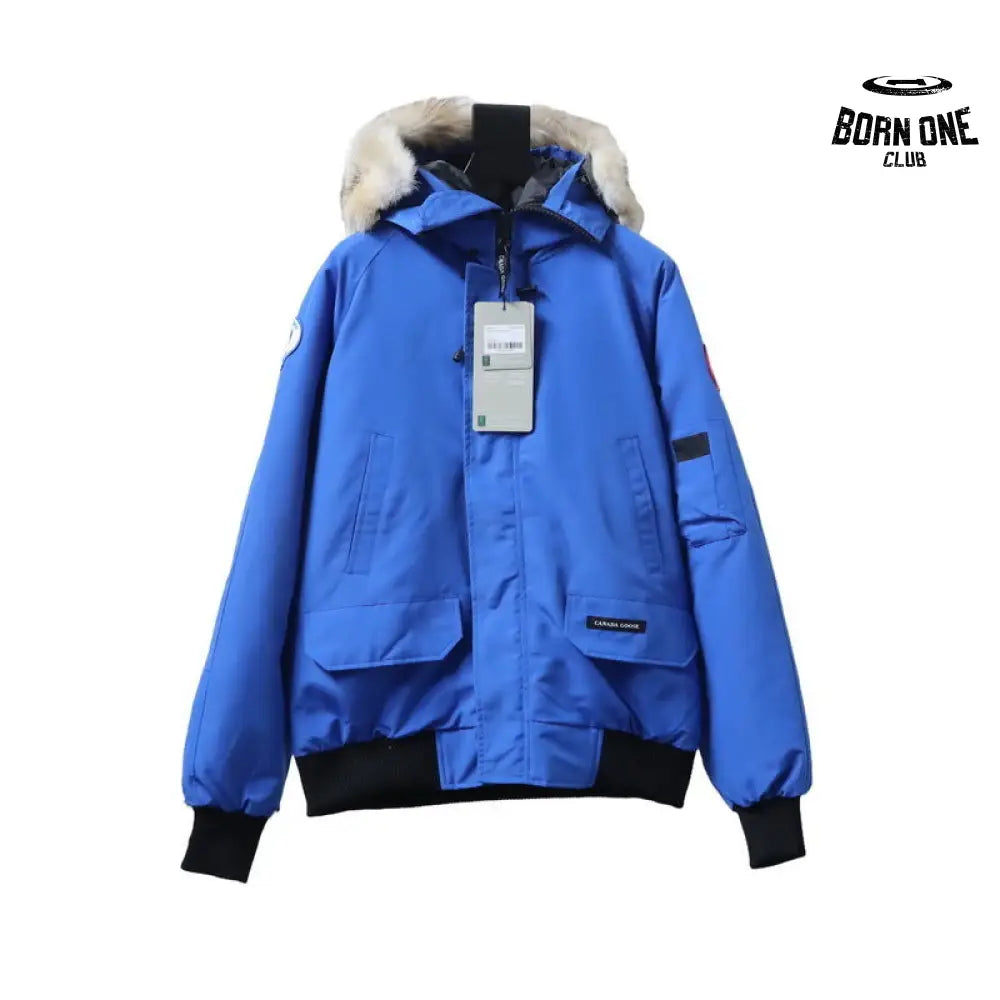 Chilliwack Bomber Jacket Short Down Jacket PBI Blue