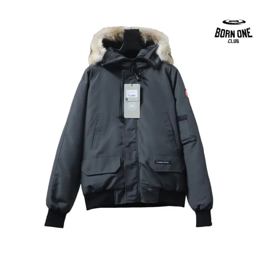 Chilliwack Bomber Jacket Short Down Jacket PBI Gray