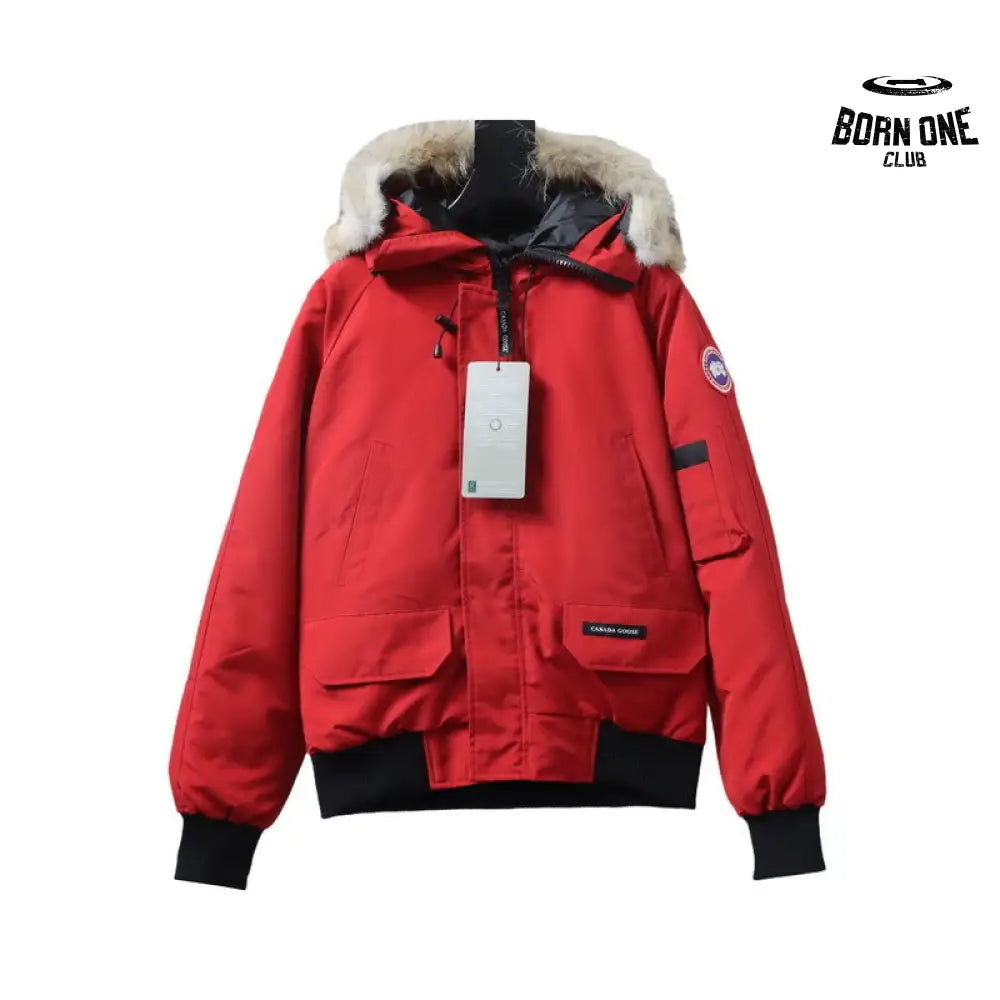Chilliwack Bomber Jacket Short Down Jacket PBI Red