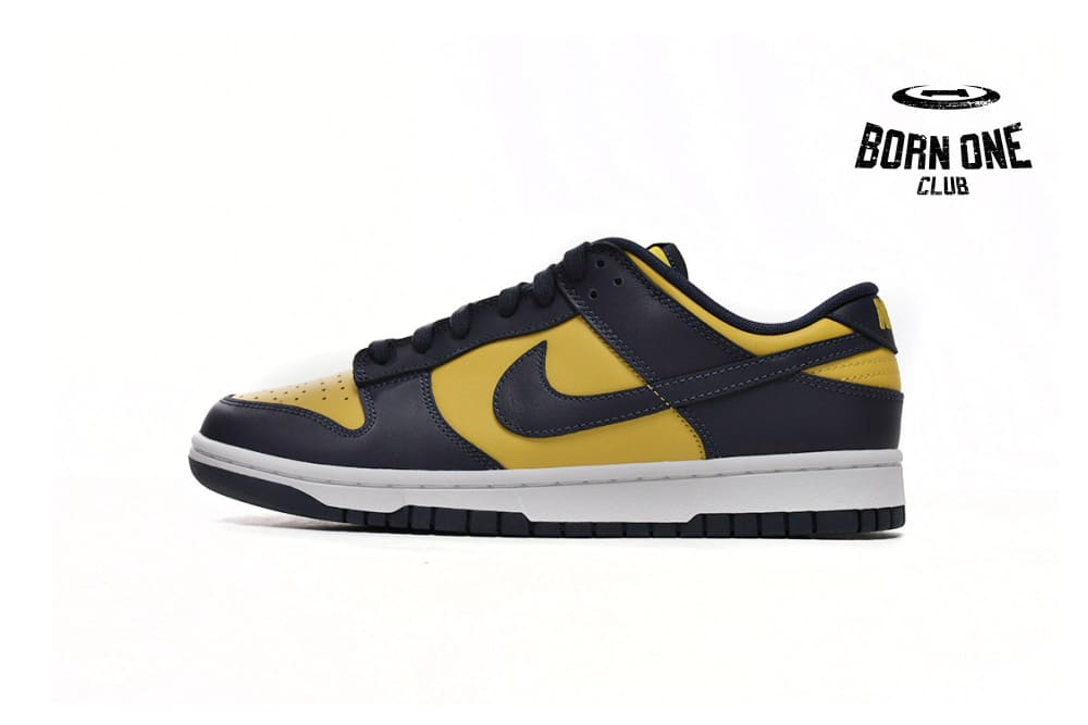 Nike Low Michigan (2021) DD1391-700