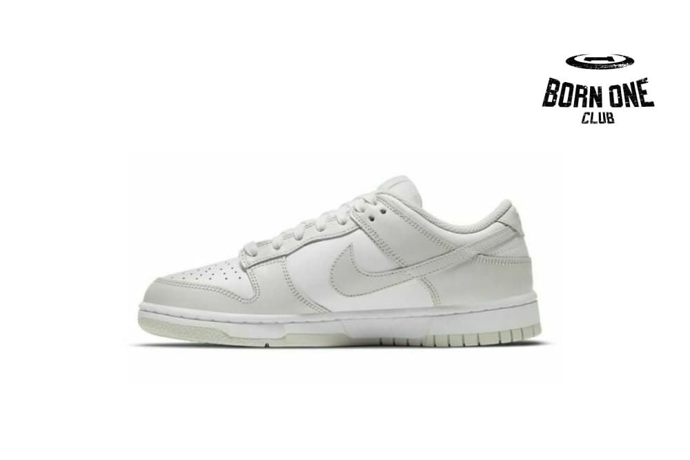 Nike Low Photon Dust DD1503-103