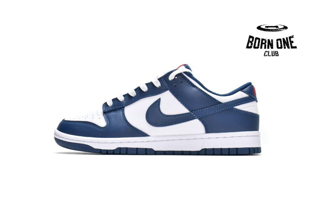 Nike Low Valerian Blue DD1391-400