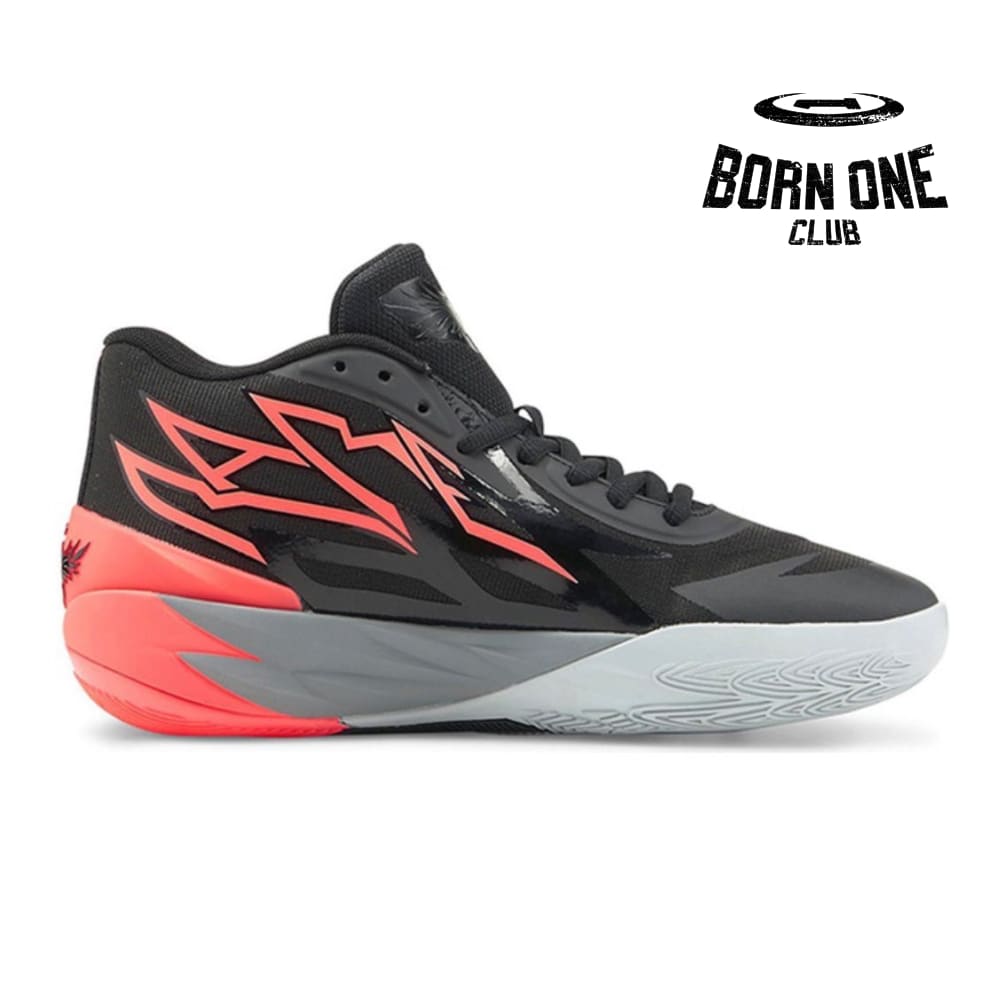 MB.02 x CORAL