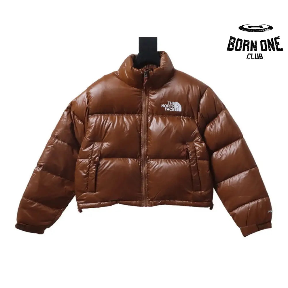 Nuptse 700 Jacket Curta ‘Brown‘